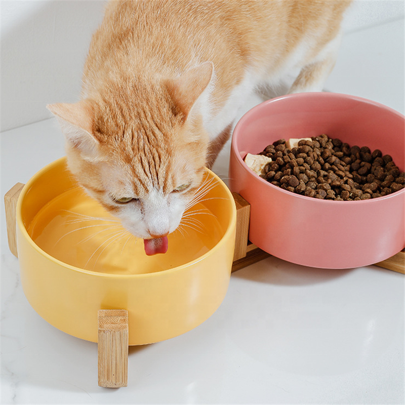 Shop 2 Bowls for pets at Low Price