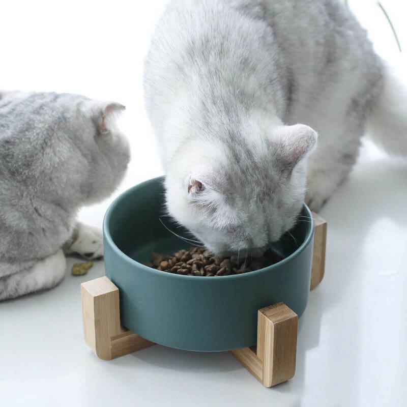 ceramic pet bowl set