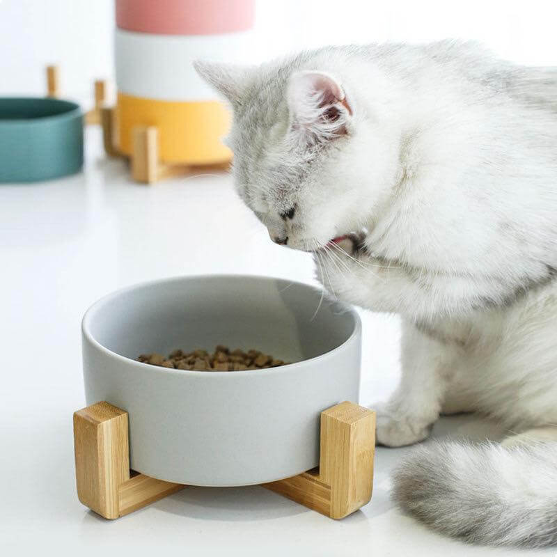 ceramic pet bowls