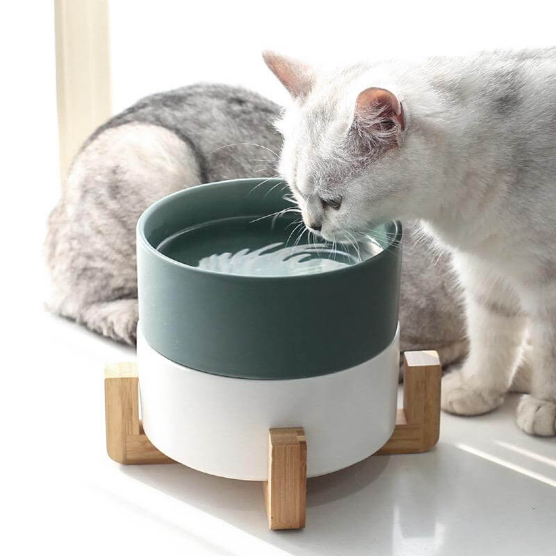 ceramic water bowls