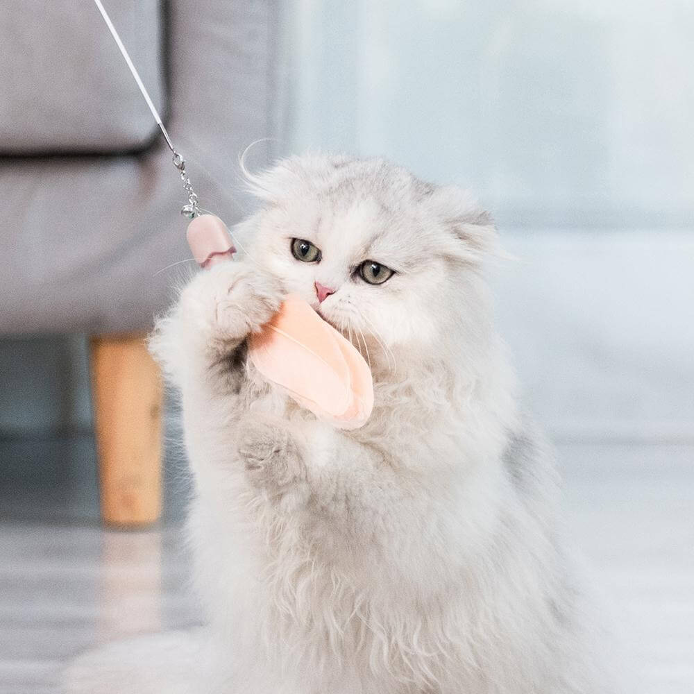 Go deals cat teaser