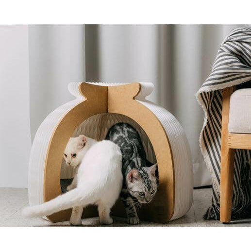 insulated cat houses
