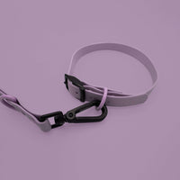 Thumbnail for pet collar leash
